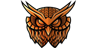 OWL Salt Logo