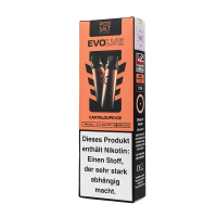 Pod Salt Evolve - Cantaloupe Ice 2x2ml Pod - 20mg/ml
